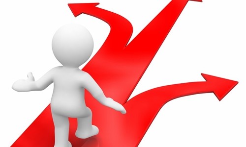 Learner has choices to make
