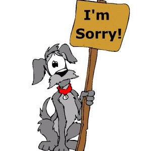 I'm sorry